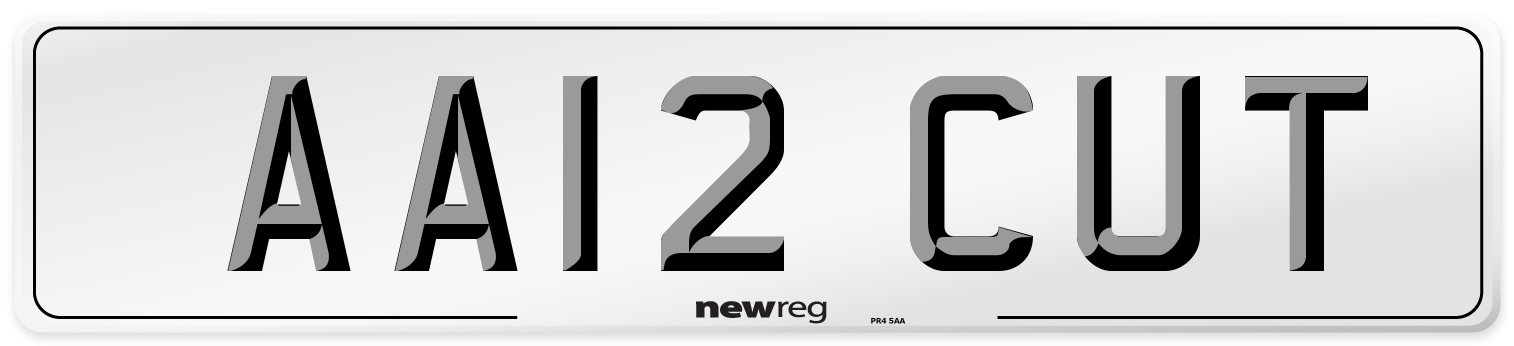 AA12 CUT Front Number Plate