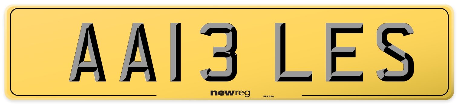 AA13 LES Rear Number Plate