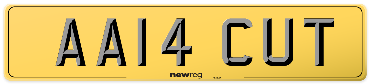 AA14 CUT Rear Number Plate
