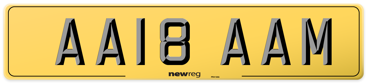 AA18 AAM Rear Number Plate