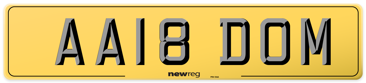 AA18 DOM Rear Number Plate
