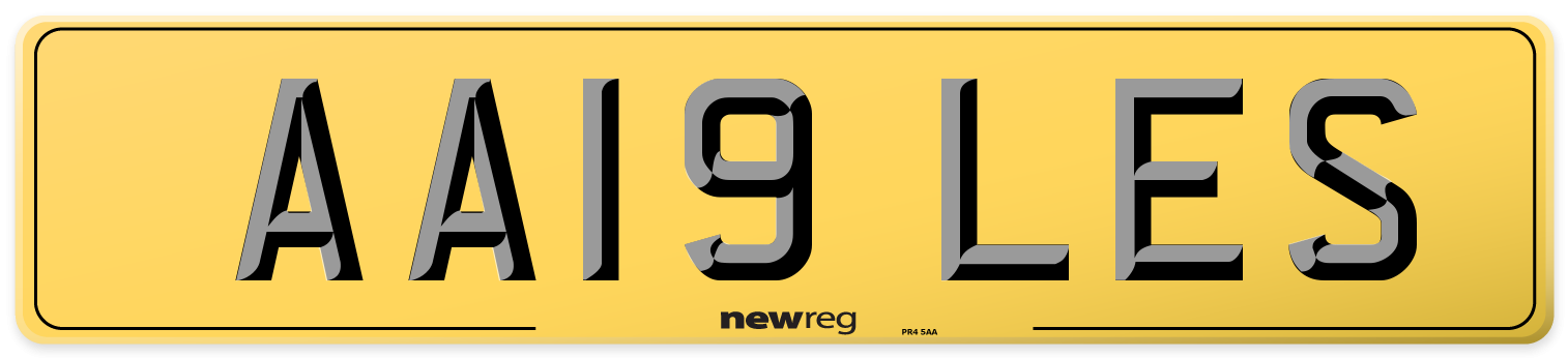 AA19 LES Rear Number Plate