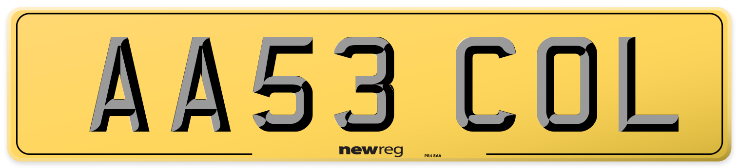 AA53 COL Rear Number Plate