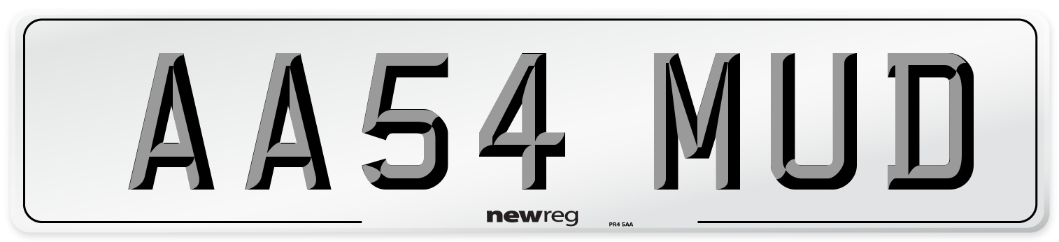 AA54 MUD Front Number Plate