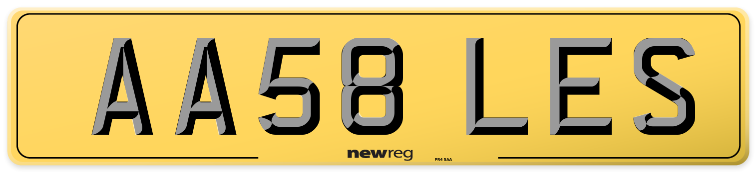 AA58 LES Rear Number Plate