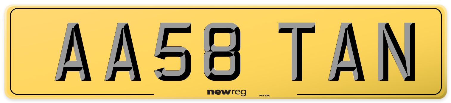 AA58 TAN Rear Number Plate