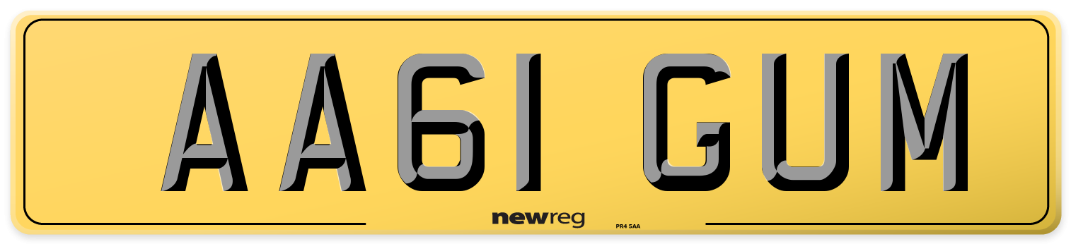 AA61 GUM Rear Number Plate
