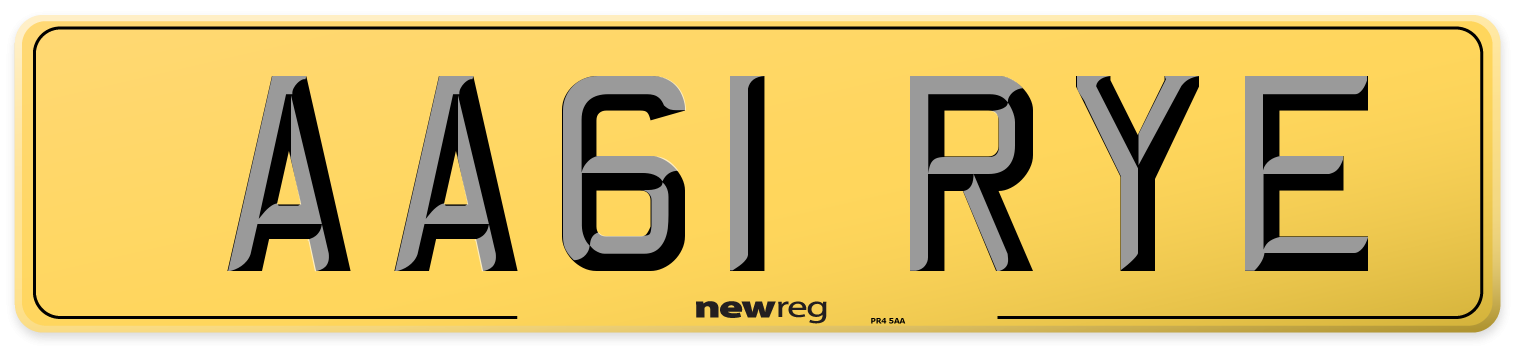 AA61 RYE Rear Number Plate