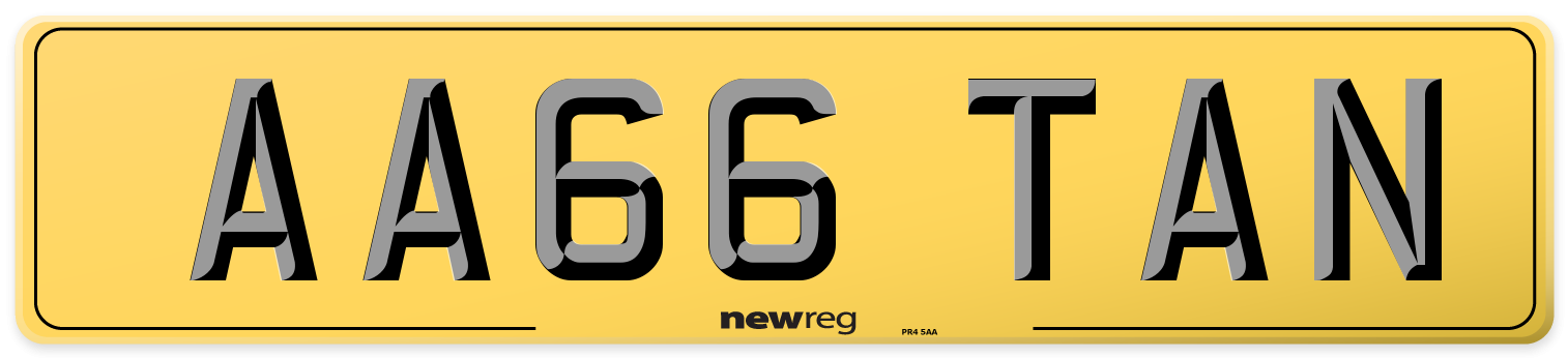 AA66 TAN Rear Number Plate