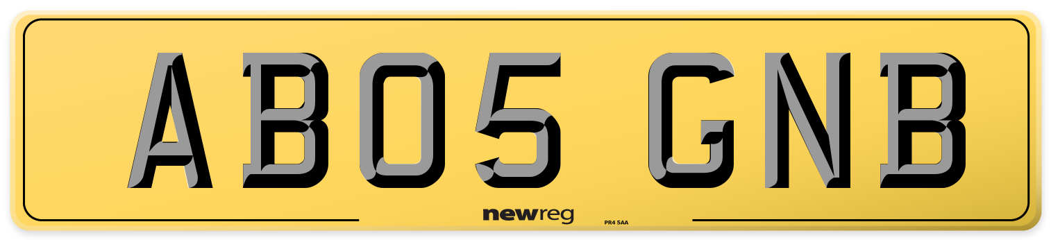 AB05 GNB Rear Number Plate