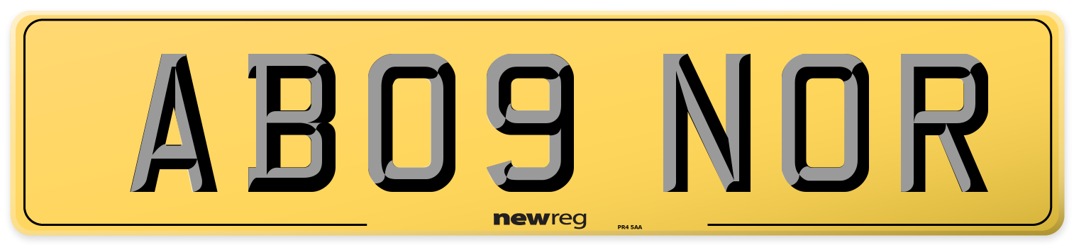 AB09 NOR Rear Number Plate