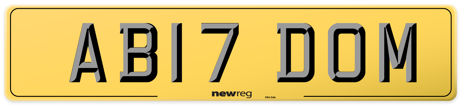 AB17 DOM Rear Number Plate