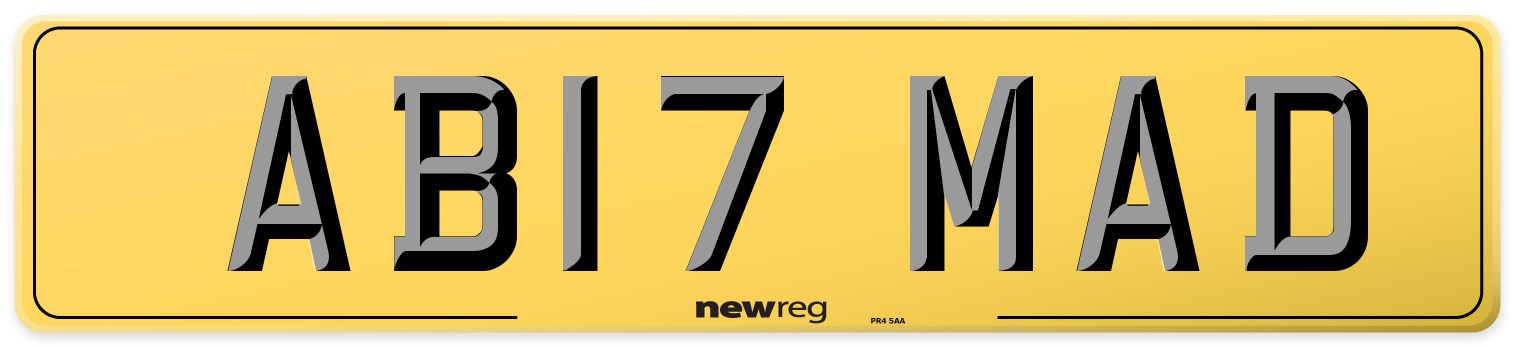 AB17 MAD Rear Number Plate