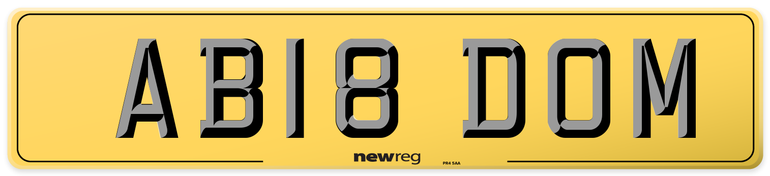 AB18 DOM Rear Number Plate