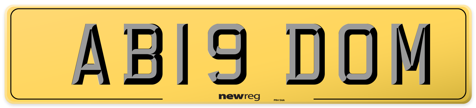 AB19 DOM Rear Number Plate