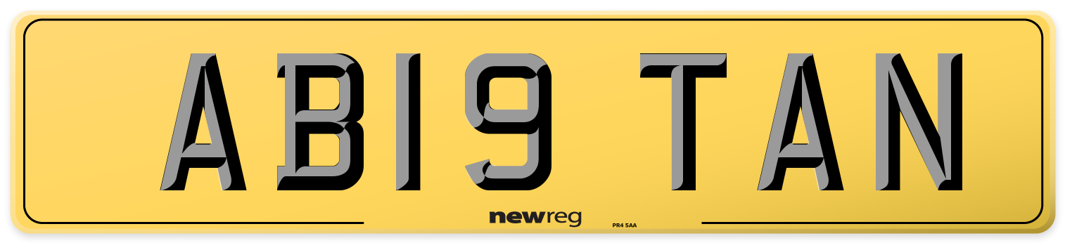 AB19 TAN Rear Number Plate