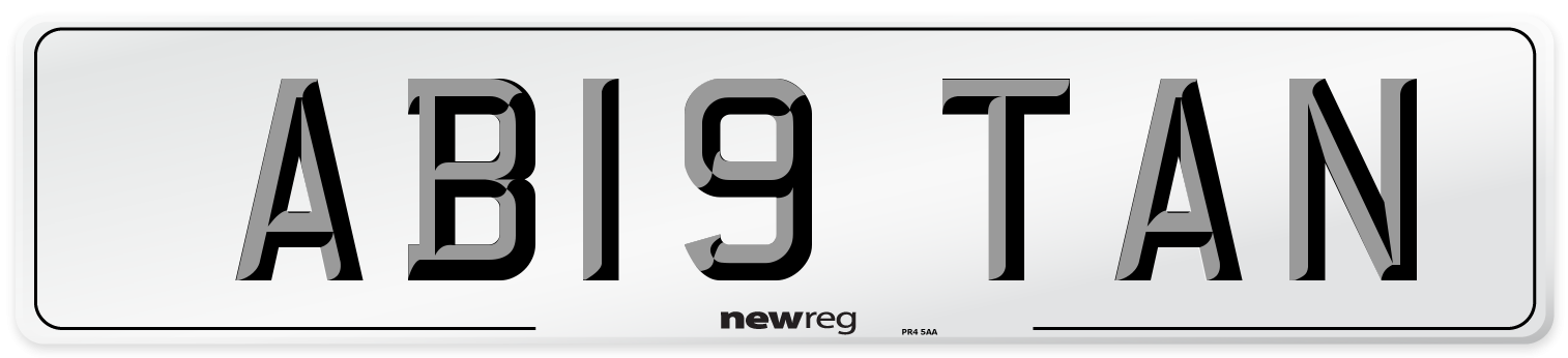 AB19 TAN Front Number Plate