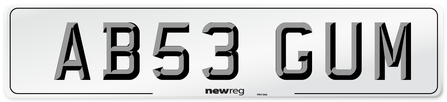 AB53 GUM Front Number Plate