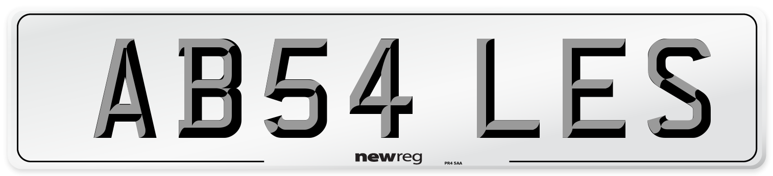 AB54 LES Front Number Plate