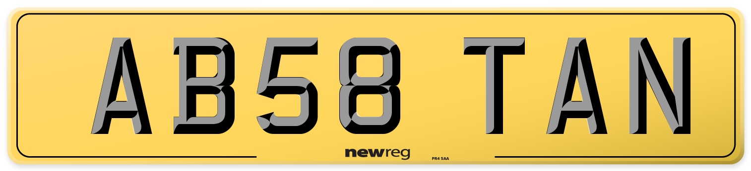 AB58 TAN Rear Number Plate