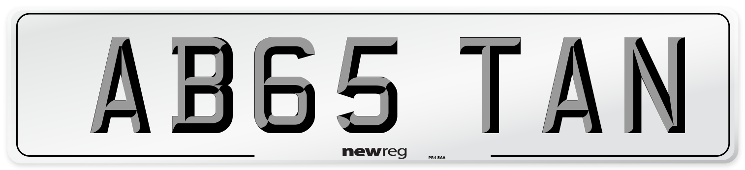 AB65 TAN Front Number Plate