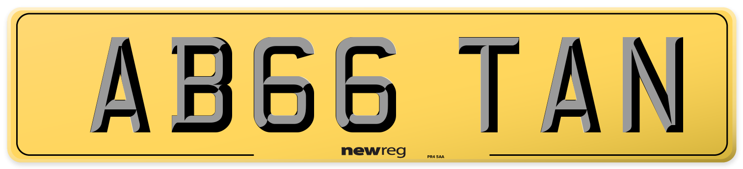 AB66 TAN Rear Number Plate