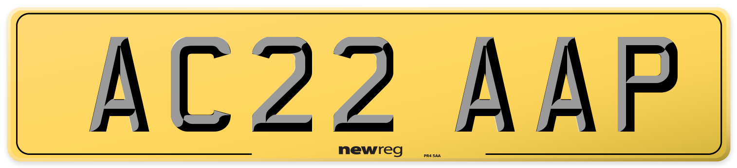 AC22 AAP Rear Number Plate