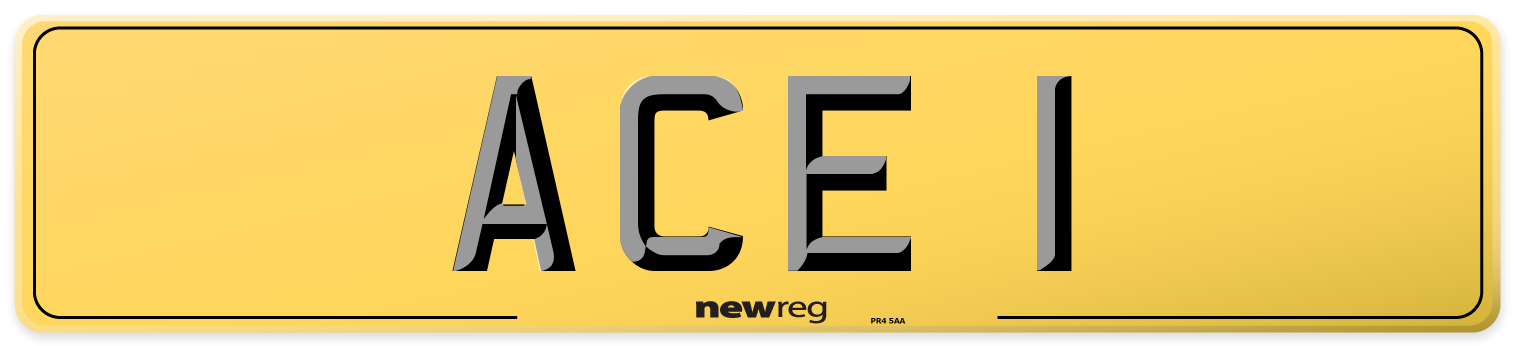ACE 1 Rear Number Plate