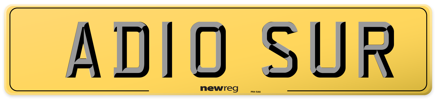 AD10 SUR Rear Number Plate