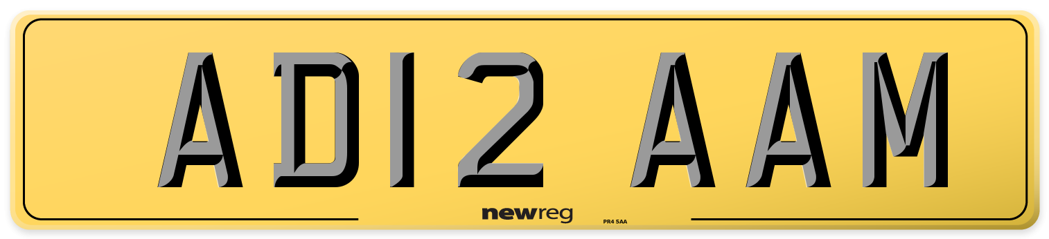 AD12 AAM Rear Number Plate