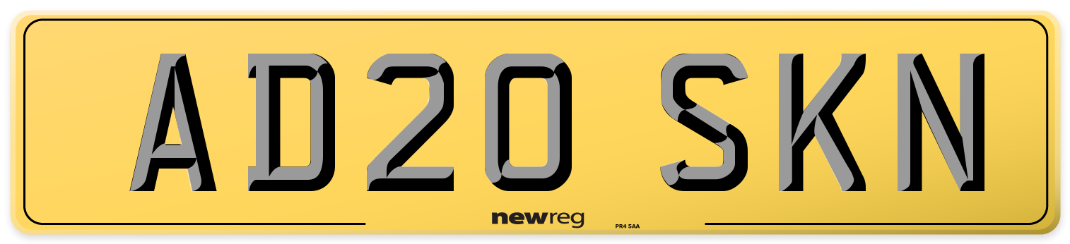 AD20 SKN Rear Number Plate