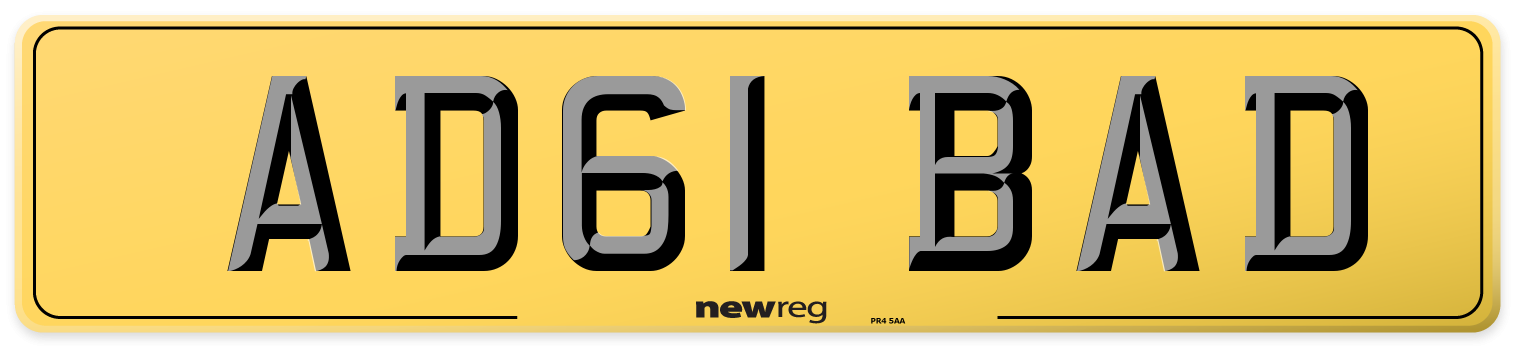 AD61 BAD Rear Number Plate