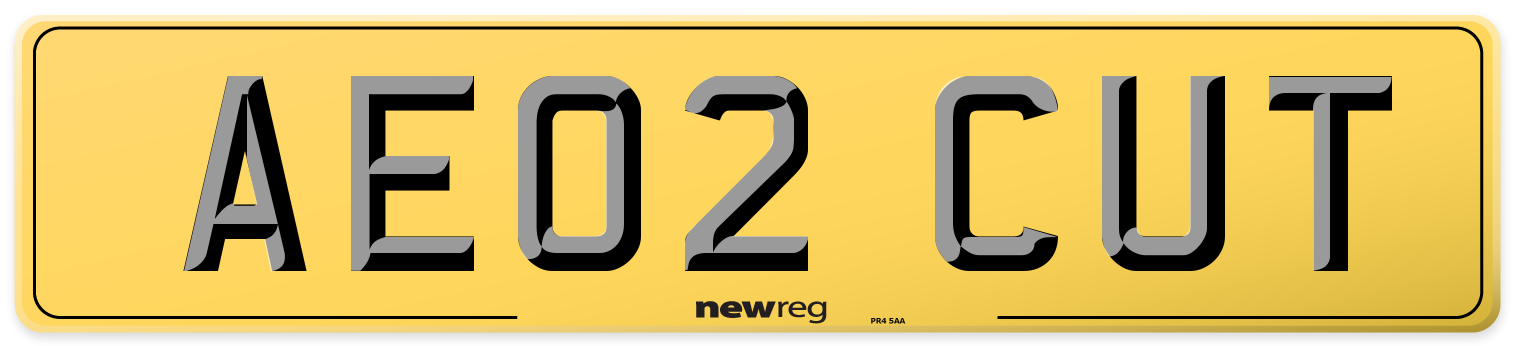 AE02 CUT Rear Number Plate
