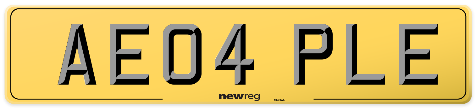 AE04 PLE Rear Number Plate