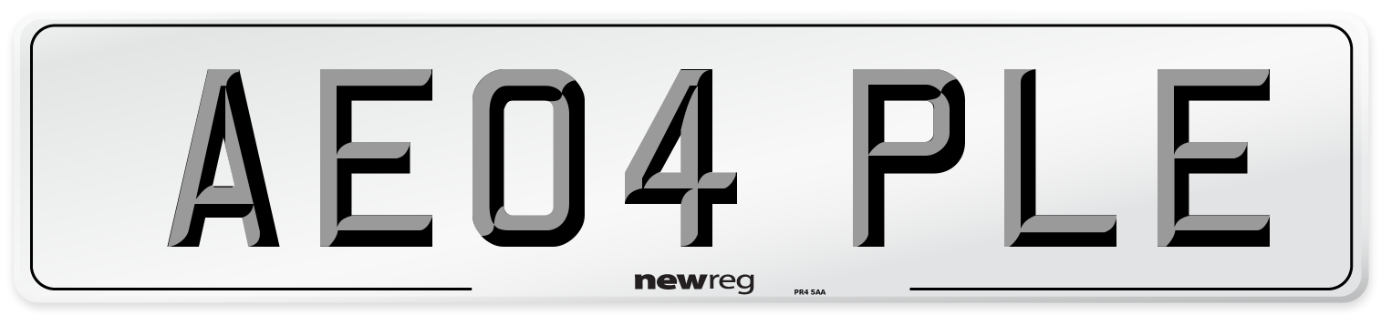 AE04 PLE Front Number Plate
