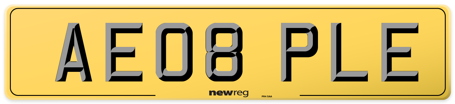 AE08 PLE Rear Number Plate