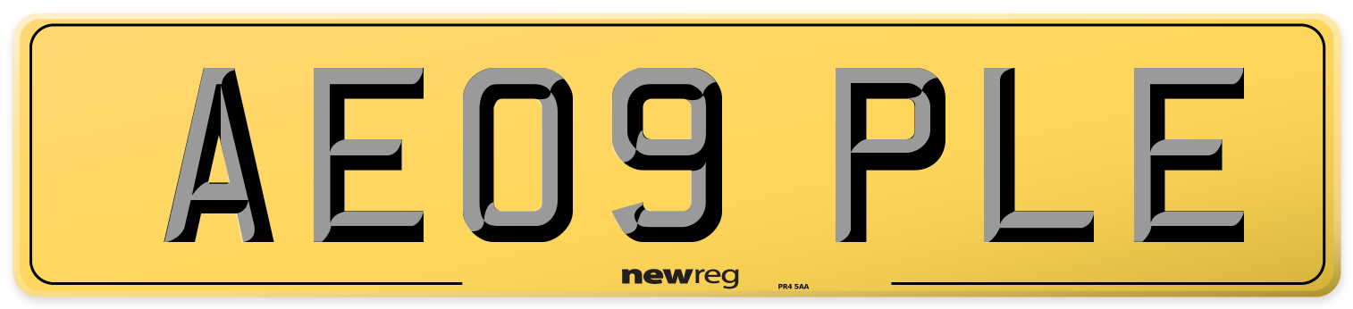AE09 PLE Rear Number Plate