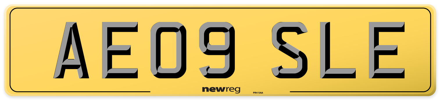 AE09 SLE Rear Number Plate