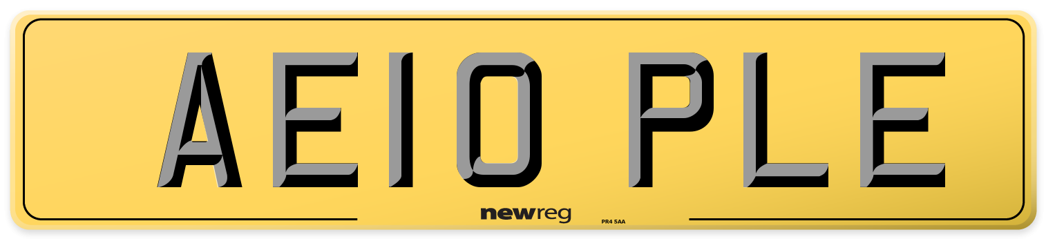 AE10 PLE Rear Number Plate