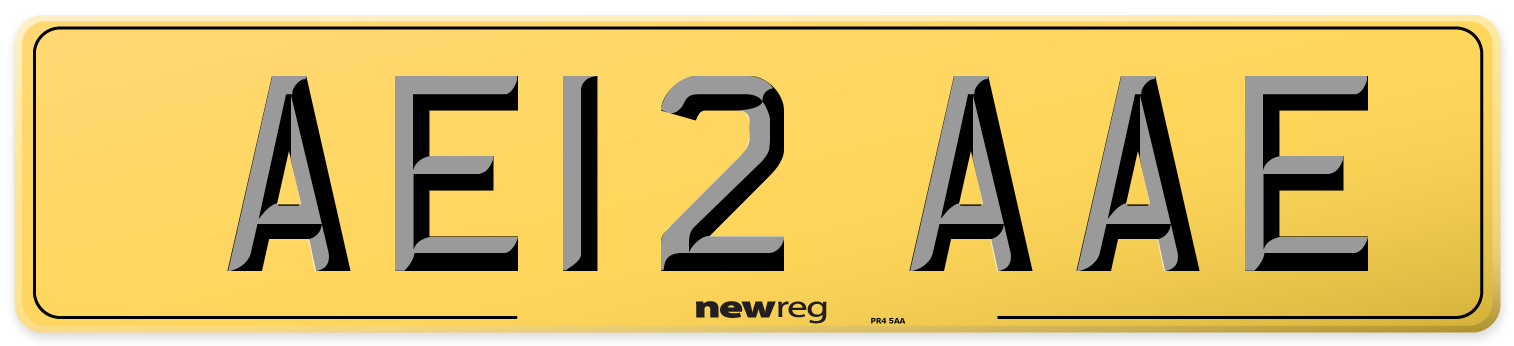 AE12 AAE Rear Number Plate
