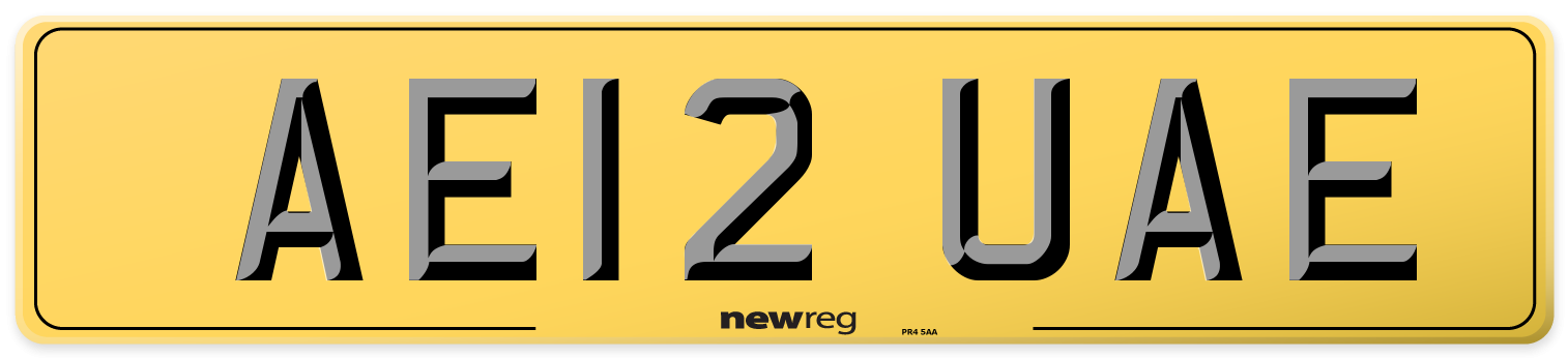 AE12 UAE Rear Number Plate