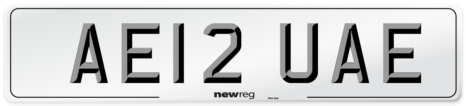 AE12 UAE Front Number Plate