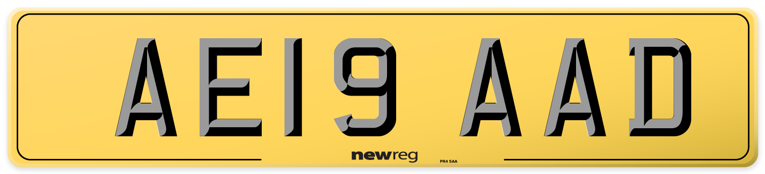 AE19 AAD Rear Number Plate