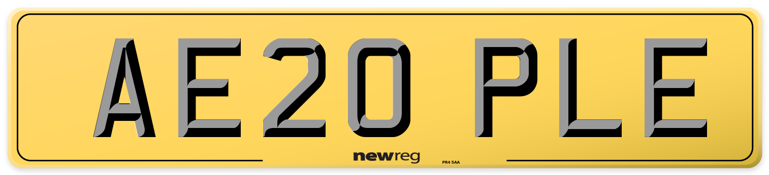 AE20 PLE Rear Number Plate
