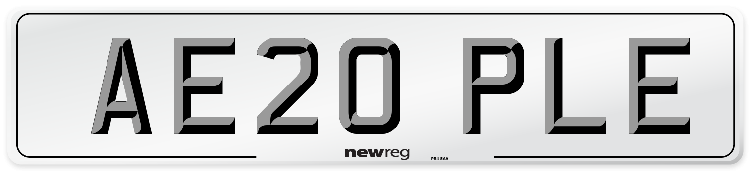 AE20 PLE Front Number Plate