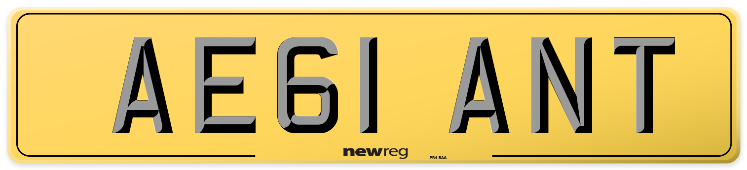AE61 ANT Rear Number Plate