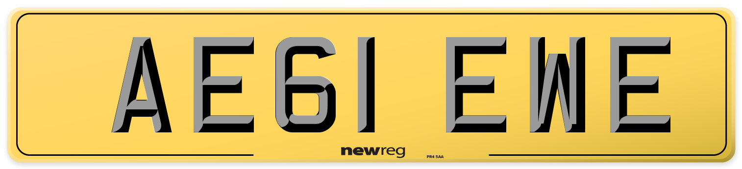 AE61 EWE Rear Number Plate
