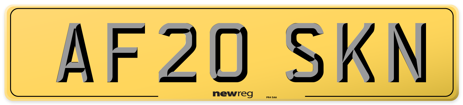 AF20 SKN Rear Number Plate