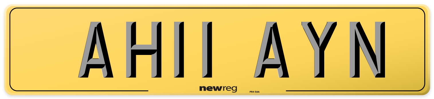 AH11 AYN Rear Number Plate