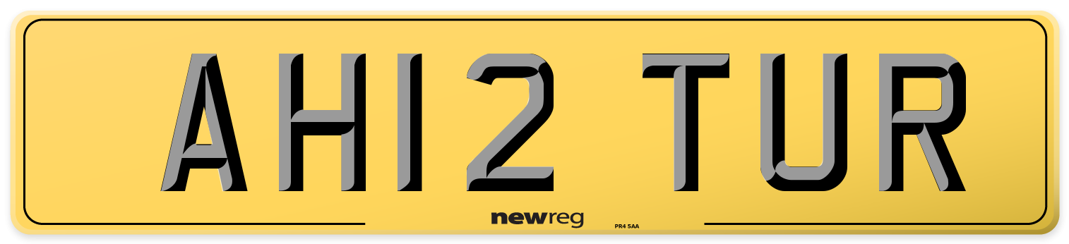 AH12 TUR Rear Number Plate